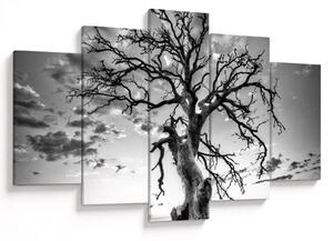 Tablou - Copacul, alb-negru (150x105 cm)