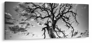 Tablou - Copacul, alb-negru (120x50 cm)
