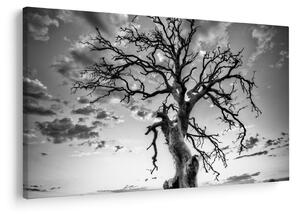 Tablou - Copacul, alb-negru (90x60 cm)