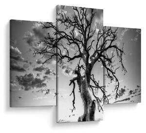 Tablou - Copacul, alb-negru (90x60 cm)