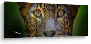 Tablou - Portretul leoparduslui, Sri Lanka (cu ceas) (90x30 cm)