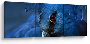 Tablou - Porumbel încoronat (cu ceas) (90x30 cm)