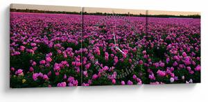 Tablou - Pajiștea cu lalele violet (cu ceas) (90x30 cm)
