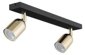 Spot LED RGBW dimabil TOP 2xGU10/6,5W/230V 2700-6500K negru/auriu