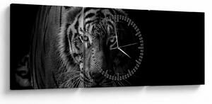Tablou - Tigru sălbatic (cu ceas) (90x30 cm)