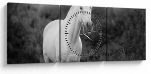 Tablou - Cal alb în poină (cu ceas) (90x30 cm)