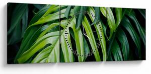 Tablou - Frunze tropicale (cu ceas) (90x30 cm)