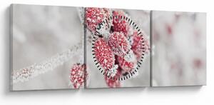 Tablou - Fructe congelate (cu ceas) (90x30 cm)