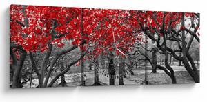 Tablou - Copaci roșii, Central Park, New York (cu ceas) (90x30 cm)