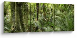 Tablou - Pădure tropicală (cu ceas) (90x30 cm)