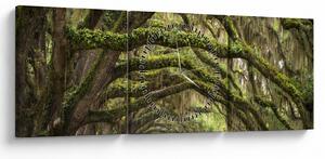 Tablou - Oaks Avenue, Charleston, Carolina de Sud, SUA (cu ceas) (90x30 cm)