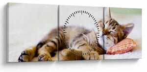 Tablou - Pisicuța adormită (cu ceas) (90x30 cm)