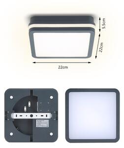 Corp de iluminat LED de exterior Brilagi BENE LED/18W/230V 22x22 cm IP54