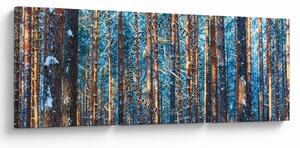 Tablou - Pădurea iarna (cu ceas) (90x30 cm)