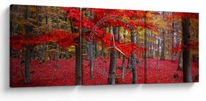 Tablou - Pădurea roșie (cu ceas) (90x30 cm)