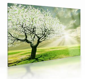 Tablou pe sticlă cu pomul înflorit (70x50 cm)