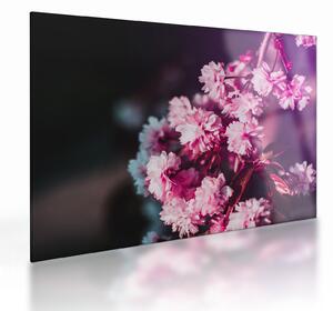Tablou pe sticlă cu florile copacilor (70x50 cm)