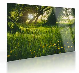 Tablou pe sticlă cu natura - lunca (70x50 cm)