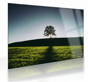 Tablou pe sticlă cu natura - copac (70x50 cm)
