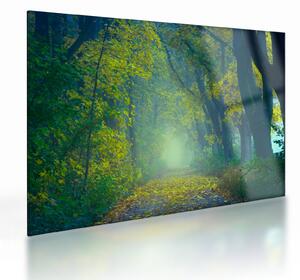 Tablou pe sticlă cu drum dea lungul cu copaci (70x50 cm)