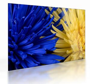 Tablou pe sticlă - detaliu florilor (70x50 cm)