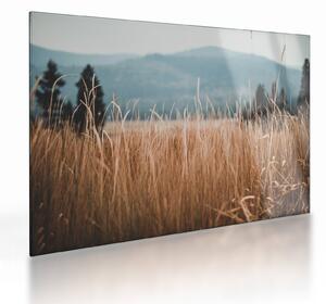 Tablou pe sticlă - detaliu spațiului de luncă (70x50 cm)
