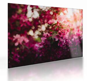 Tablou pe sticlă cu florile tufișului înflorit (70x50 cm)