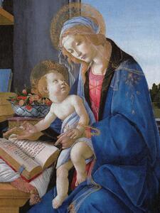 Reproducere The Madonna & The Book - Sandro Botticelli, (30 x 40 cm)