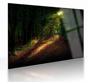 Tablou pe sticlă cu poteca prin pădure (70x50 cm)