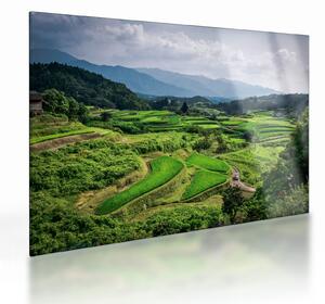 Tablou pe sticlă cu câmp de orez (70x50 cm)