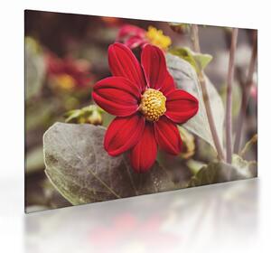 Tablou pe sticlă cu floare (70x50 cm)