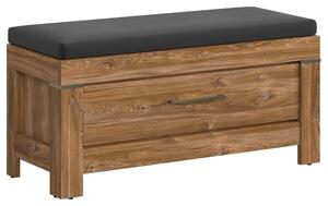 Pantofar GENT, stejar stirling, PAL laminat, 101x40x50 cm