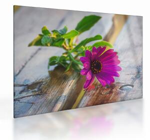 Tablou pe sticlă flori tăiate (70x50 cm)