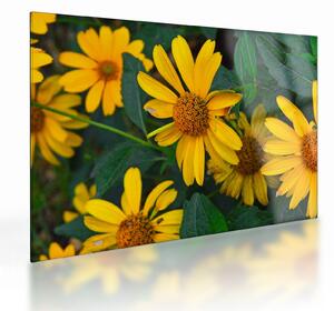 Tablou pe sticlă cu flori galbene (70x50 cm)
