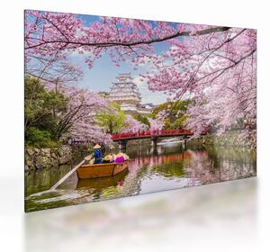 Tablou pe sticlă cu cireș japonez (70x50 cm)