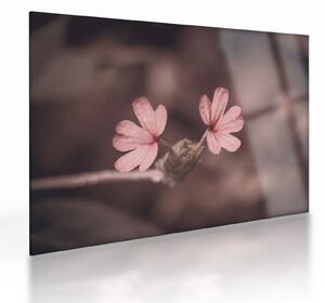 Tablou pe sticlă cu floare roz (70x50 cm)
