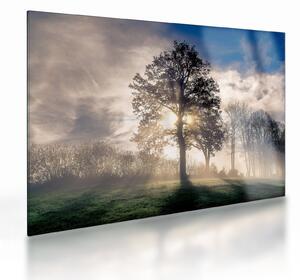 Tablou pe sticlă cu copac în ceață (70x50 cm)