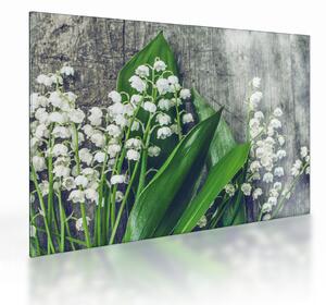 Tablou pe sticlă cu lăcrimioare (70x50 cm)