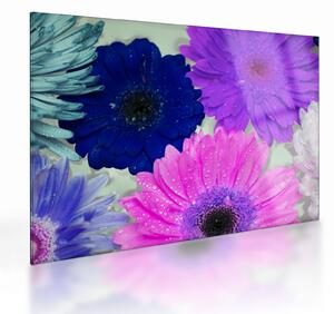 Tablou pe sticlă cu flori colorate (70x50 cm)