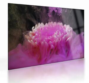 Tablou pe sticlă cu floare în fum roz (70x50 cm)