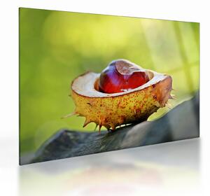 Tablou pe sticlă cu castani (70x50 cm)