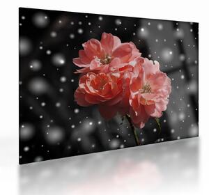 Tabloucu floare roz (70x50 cm)