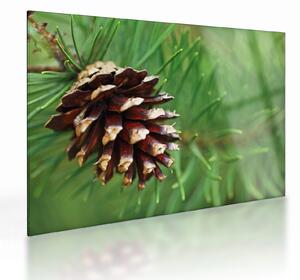 Tablou pe sticlă cu con (70x50 cm)