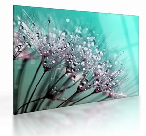 Tablou pe sticlă - planta cu rouă (70x50 cm)