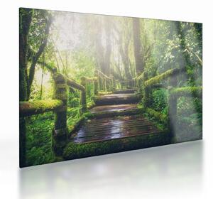 Tablou pe sticlă - trepte din lemn în pădure (70x50 cm)