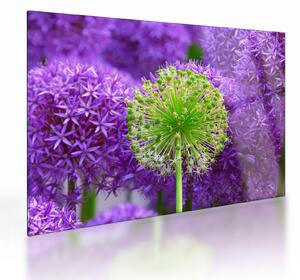 Tablou pe sticlă cu floare (70x50 cm)