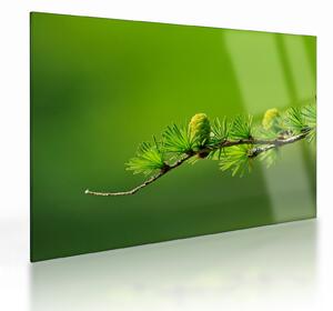 Tablou pe sticlă con verde (70x50 cm)
