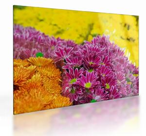 Tablou pe sticlă cu floarea roz (70x50 cm)
