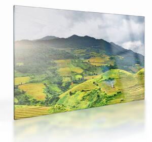 Tablou pe sticlă plantație (70x50 cm)