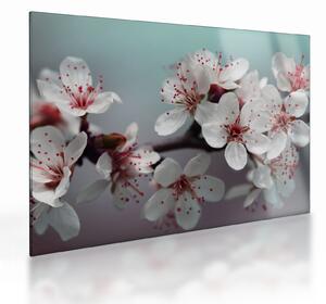 Tablou pe sticlă cu floare - roșie (70x50 cm)